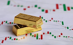 我的金轮是什么梗